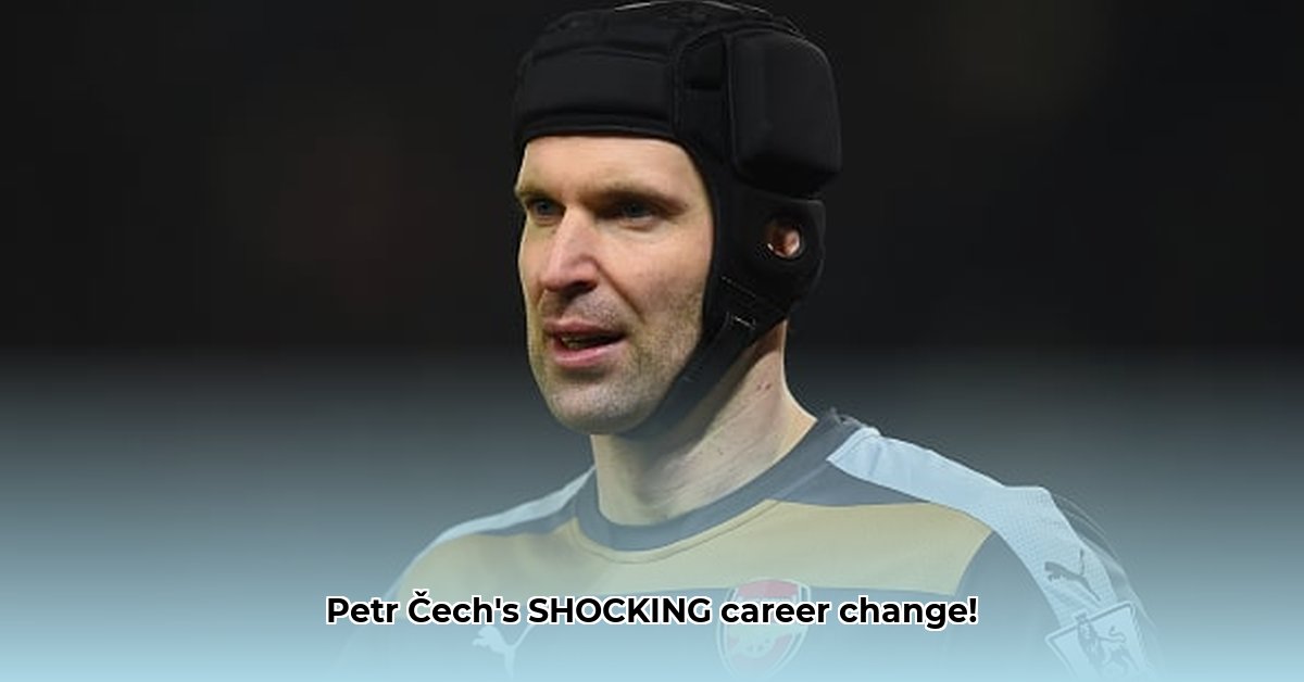 petr-cech-net-worth